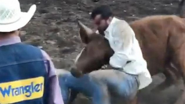Zápasník MMA Luke Rockhold změřil síly s býkem. Zápasník MMA Luke Rockhold změřil síly s býkem.