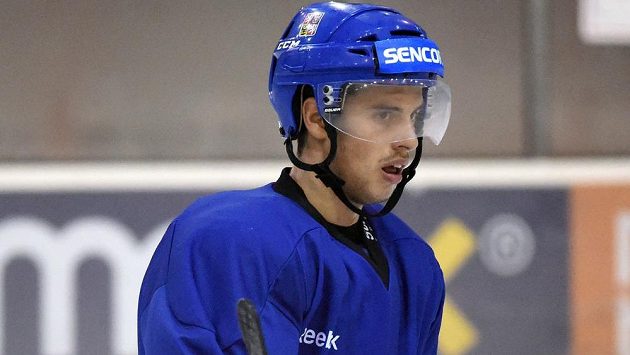 Útočník Tomáš Hyka během tréninku hokejové reprezentace v Praze. Útočník Tomáš Hyka během tréninku hokejové reprezentace v Praze.