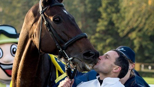 Marek Stromský a Nikas v cíli loňské Velké pardubické. To se žokej ještě radoval... Marek Stromský a Nikas v cíli loňské Velké pardubické. To se žokej ještě radoval...