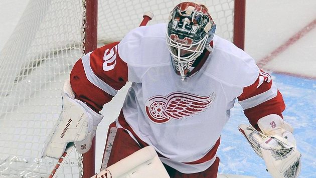 Brankář Detroitu Red Wings Jonas Gustavsson. Brankář Detroitu Red Wings Jonas Gustavsson.