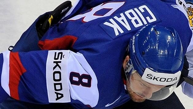 Útočník Martin Cibák v dresu slovenské reprezentace. Útočník Martin Cibák v dresu slovenské reprezentace.