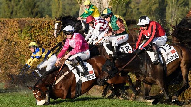 Pád koní na Taxisu během dostihového závodu 129. Velká pardubická. Pád koní na Taxisu během dostihového závodu 129. Velká pardubická.