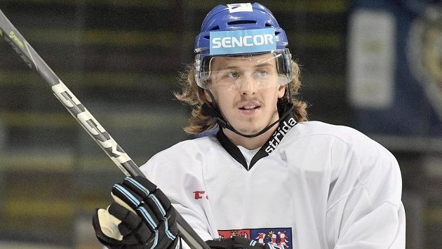 Libor Šulák na tréninku české reprezentace před turnajem Karjala. Libor Šulák na tréninku české reprezentace před turnajem Karjala.