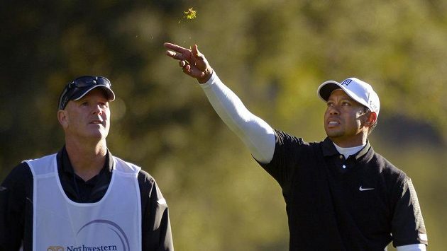Tiger Woods na golfovém turnaji Northwestern Mutual World Challenge s pomocí trávy kontroluje směr větru. Tiger Woods na golfovém turnaji Northwestern Mutual World Challenge s pomocí trávy kontroluje směr větru.