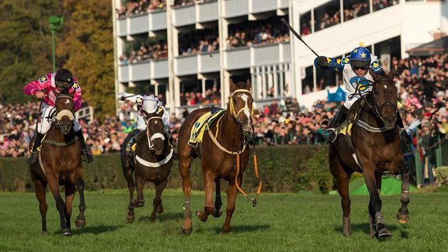 Marek Stromský v sedle Nikase (vpravo) míří za triumfem ve 125. ročníku Velké pardubické. Marek Stromský v sedle Nikase (vpravo) míří za triumfem ve 125. ročníku Velké pardubické.