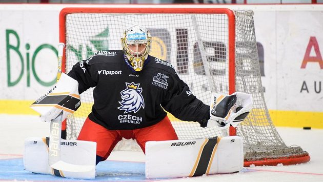 Brankář Daniel Vladař během tréninku v rámci letního kempu hokejové reprezentace. Brankář Daniel Vladař během tréninku v rámci letního kempu hokejové reprezentace.