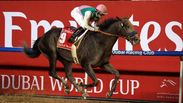 Mike Smith a Arrogate při triumfu v Dubaji. Mike Smith a Arrogate při triumfu v Dubaji.