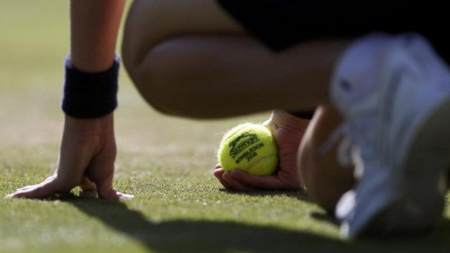Sběrač s tenisovým míčkem během Wimbledonu 2016. Sběrač s tenisovým míčkem během Wimbledonu 2016.
