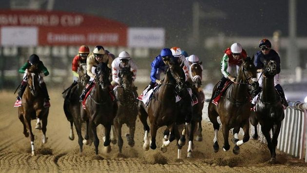 Loňský dubajský World Cup. Vyhrál Thunder Snow s žokejem Christophem Soumillonem. Ilustrační foto. Loňský dubajský World Cup. Vyhrál Thunder Snow s žokejem Christophem Soumillonem. Ilustrační foto.