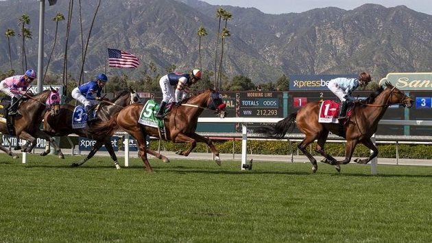 Kalifornské závodiště Santa Anita Park má další oběť - ilustrační foto. Kalifornské závodiště Santa Anita Park má další oběť - ilustrační foto.