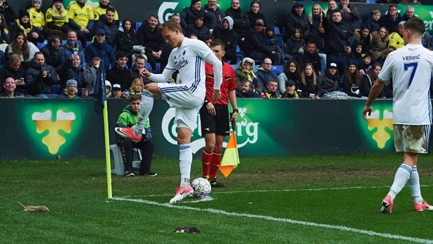 V kodaňském derby padaly na hřiště mrtvé krysy. V kodaňském derby padaly na hřiště mrtvé krysy.