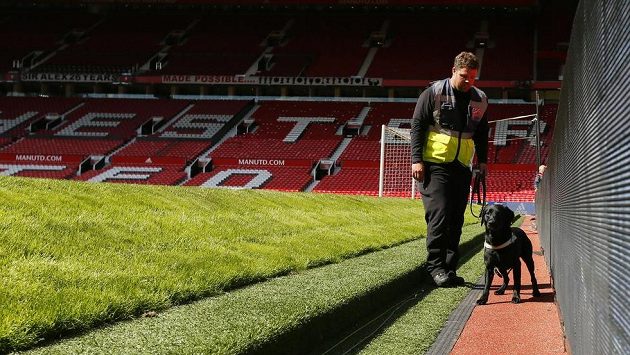 Speciálně vycvičený pes hledal na stadiónu Manchesteru United výbušninu. Speciálně vycvičený pes hledal na stadiónu Manchesteru United výbušninu.