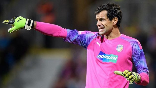 Brankář Viktorie Plzeň Aleš Hruška. Brankář Viktorie Plzeň Aleš Hruška.
