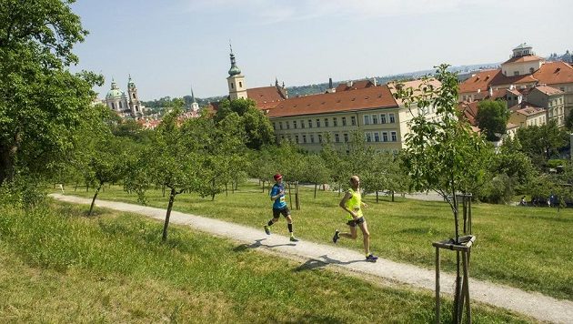 mizuno trail praha