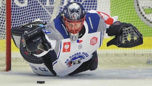 Brankář Plzně Dominik Frodl. Brankář Plzně Dominik Frodl.