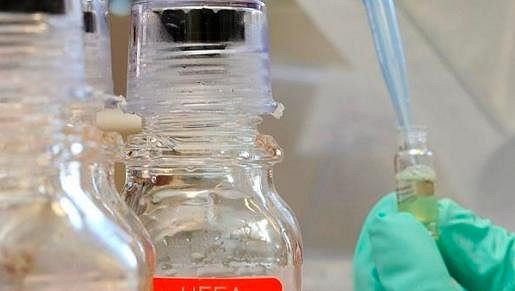 Světová antidopingová agentura (WADA) podruhé během roku zastavila na šest měsíců činnost antidopingové laboratoři v Dillí. Světová antidopingová agentura (WADA) podruhé během roku zastavila na šest měsíců činnost antidopingové laboratoři v Dillí.