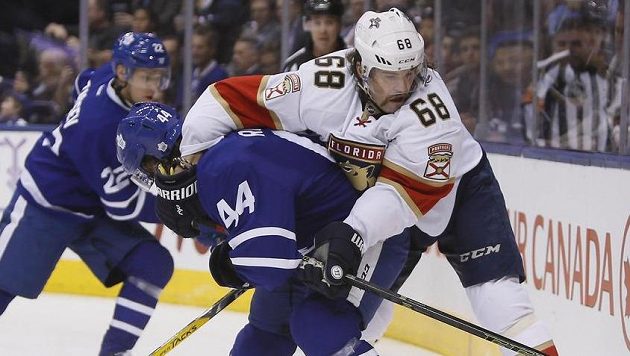 Jaromír Jágr bojuje o pozici s obráncem Toronta Morganem Riellym. Jaromír Jágr bojuje o pozici s obráncem Toronta Morganem Riellym.