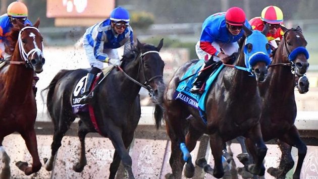 Hlavní dostih prestižního Breeders' Cupu (ilustrační foto) Hlavní dostih prestižního Breeders' Cupu (ilustrační foto)
