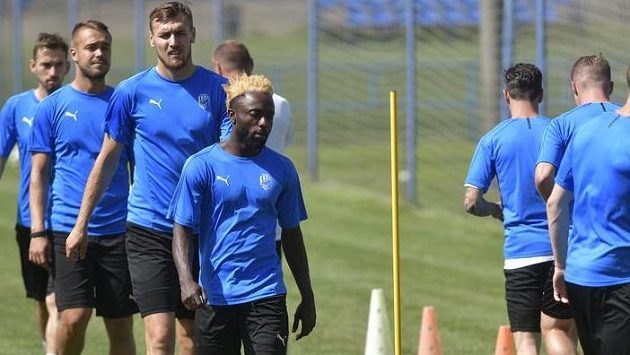 Fotbalisté Plzně začnou předkolo LM doma v úterý 23. července Fotbalisté Plzně začnou předkolo LM doma v úterý 23. července