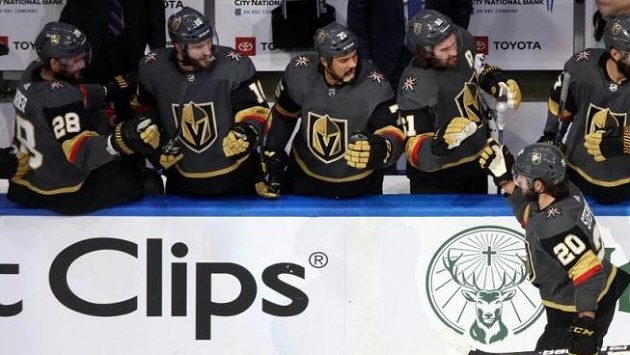 Hokejisté Las Vegas slaví branku (ilustrační foto) Hokejisté Las Vegas slaví branku (ilustrační foto)