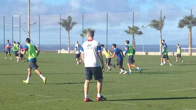 Lvíčata se začátkem ledna připravují pod palmami na Tenerife... Lvíčata se začátkem ledna připravují pod palmami na Tenerife...