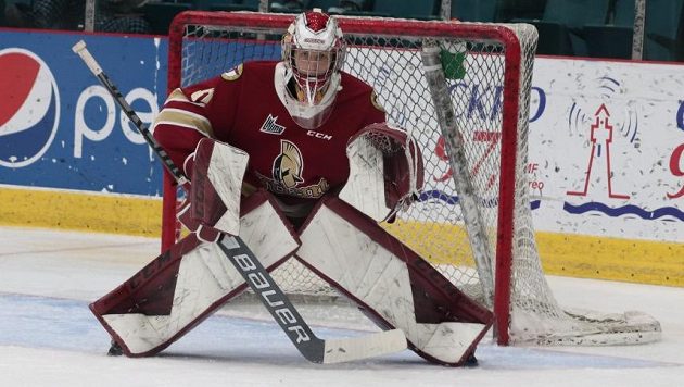 Brankář Jan Bednář v dresu Acadie-Bathurst Titan. Brankář Jan Bednář v dresu Acadie-Bathurst Titan.