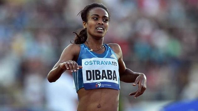 Běžkyně Genzebe Dibabaová na atletickém mítinku Zlatá tretra v Ostravě. Běžkyně Genzebe Dibabaová na atletickém mítinku Zlatá tretra v Ostravě.