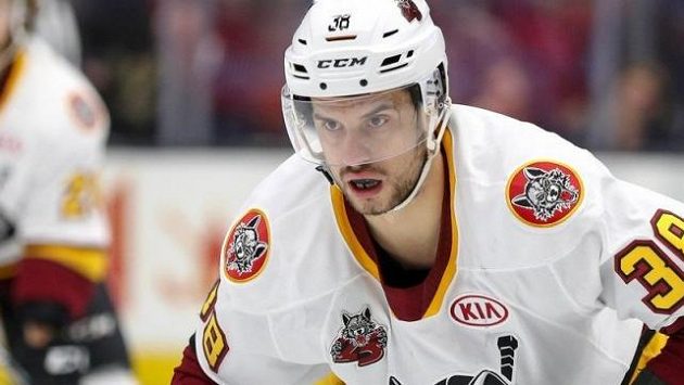 Hokejisté Chicaga Wolves s Hykou jsou ve finále play off AHL Hokejisté Chicaga Wolves s Hykou jsou ve finále play off AHL