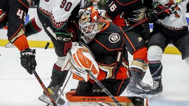 Gólman Anaheimu Ducks Lukáš Dostál zasahuje v přípravě před startem NHL. Gólman Anaheimu Ducks Lukáš Dostál zasahuje v přípravě před startem NHL.