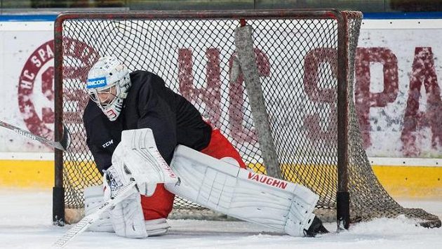 Gólman Pavel Francouz Gólman Pavel Francouz