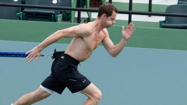 Andy Murray věří v úspěšný návrat na kurty Andy Murray věří v úspěšný návrat na kurty